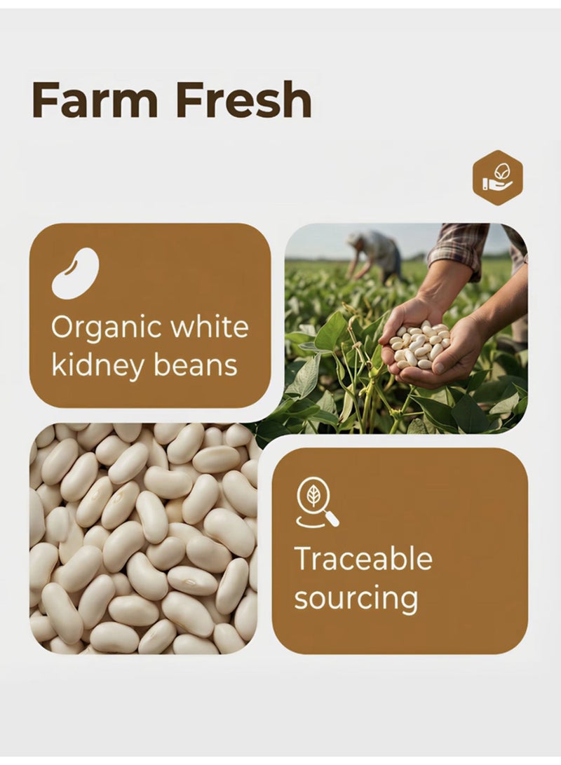 White kidney bean chewable tablets contain potent fat-reducing and carbohydrate-blocking extracts that are gentle and non-irritating. - Image 3